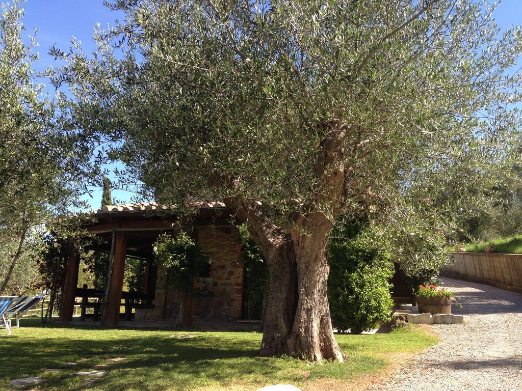 Podere Poggio Benedetto 사투르니아 객실 사진